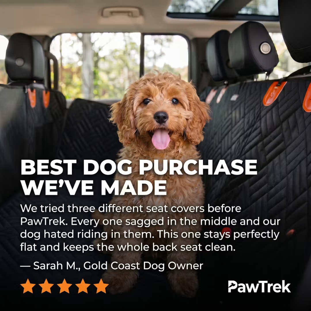 PawTrek Facebook ad