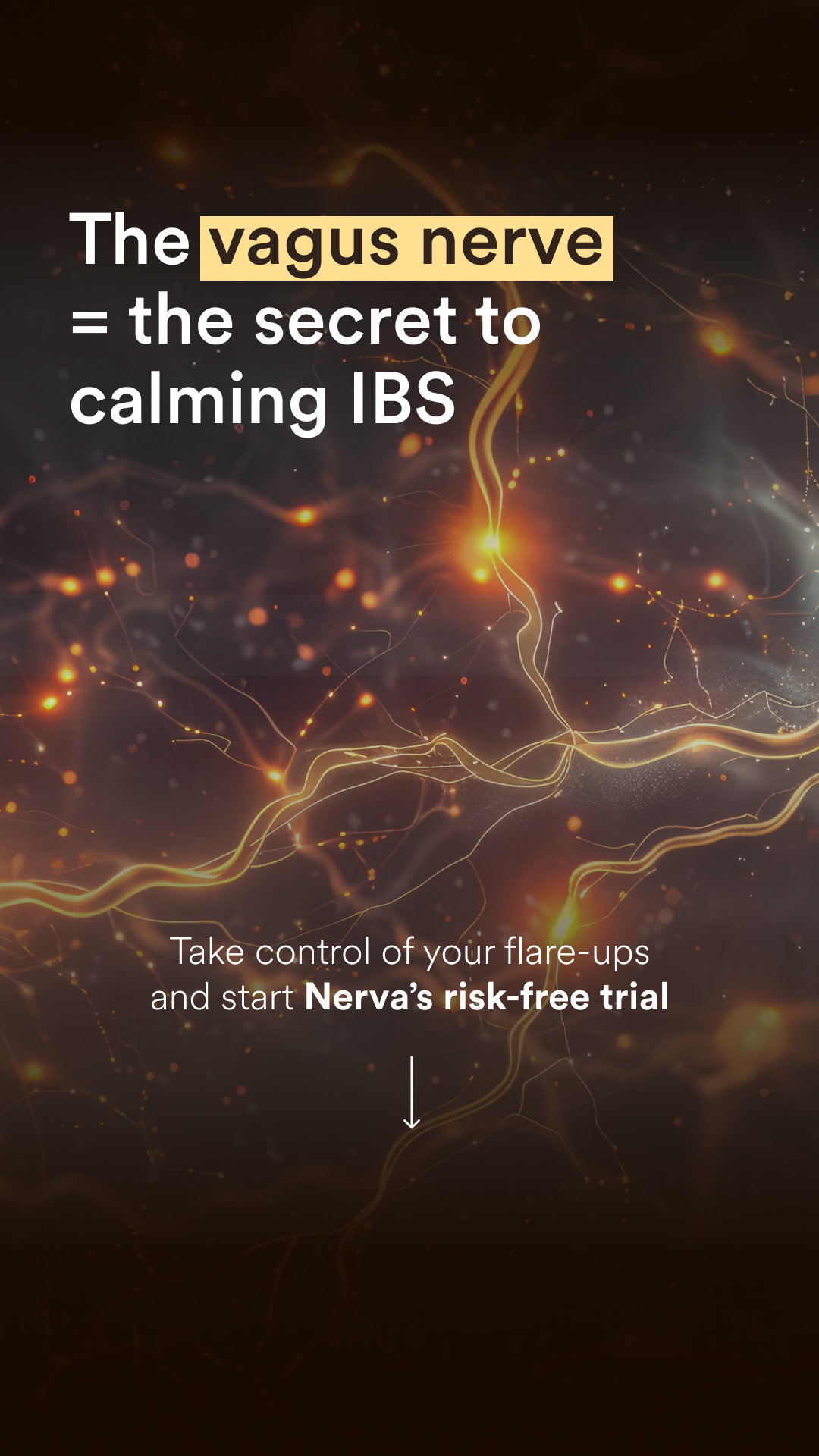 Nerva: IBS & Gut Care Facebook ad