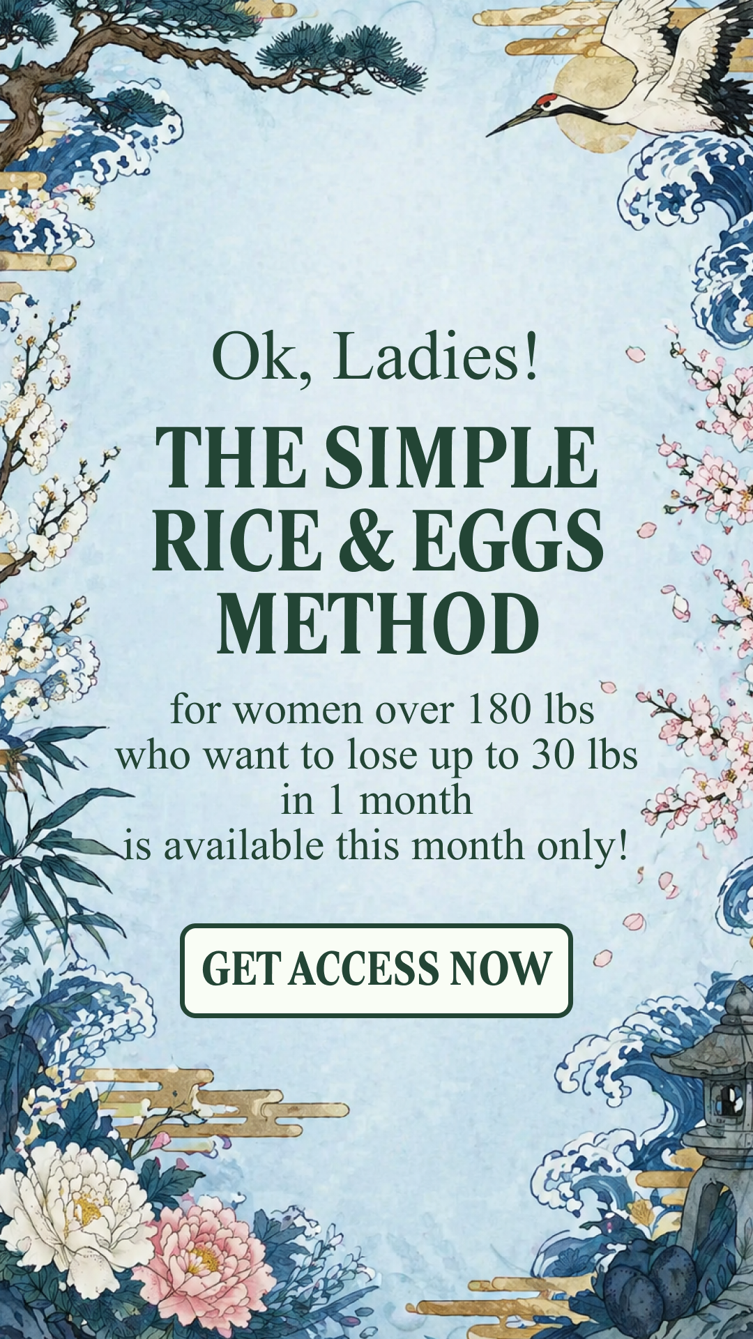 Мy 28 Day Challenge Facebook ad