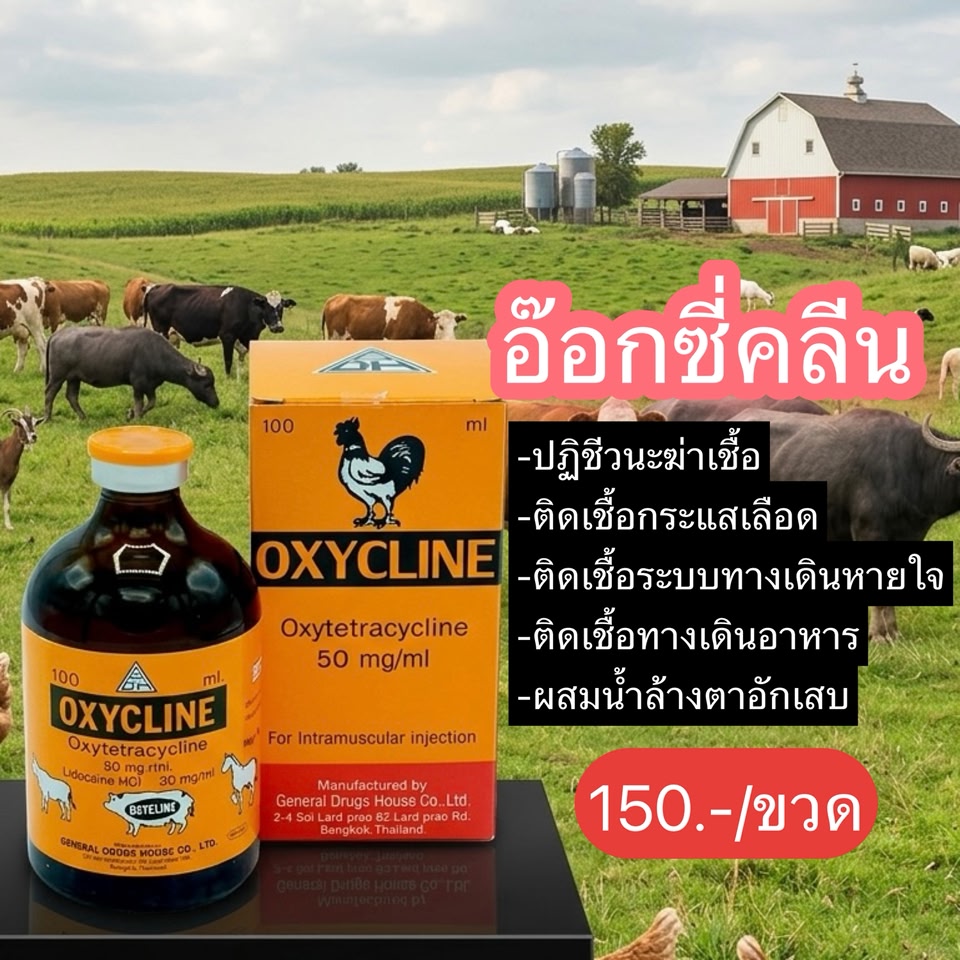 ปศุสัตว์ พลัส+ Facebook ad: เปิดขายยาสัตว์ออนไลน์สำหรับเกษตรกรผู้เลี้ยงวัว ควาย แพะ…