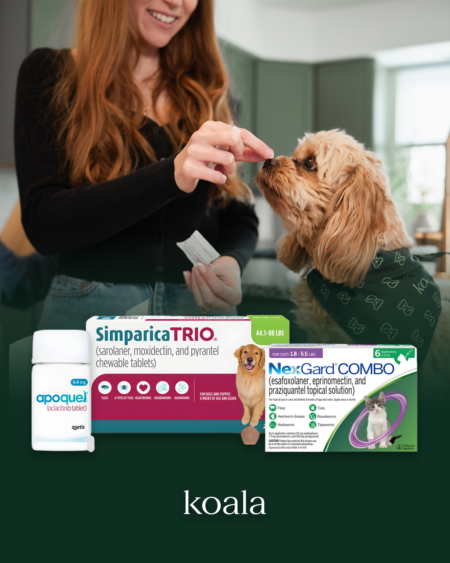 Koala Health Facebook ad: Care You Can Count On