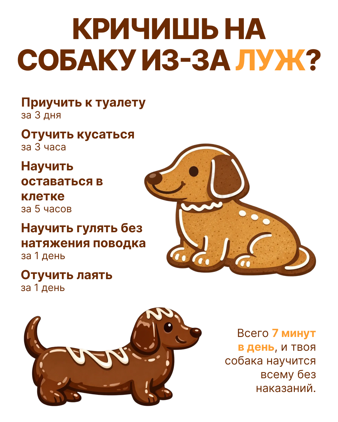 Ben Your Puppy Trainer Facebook ad