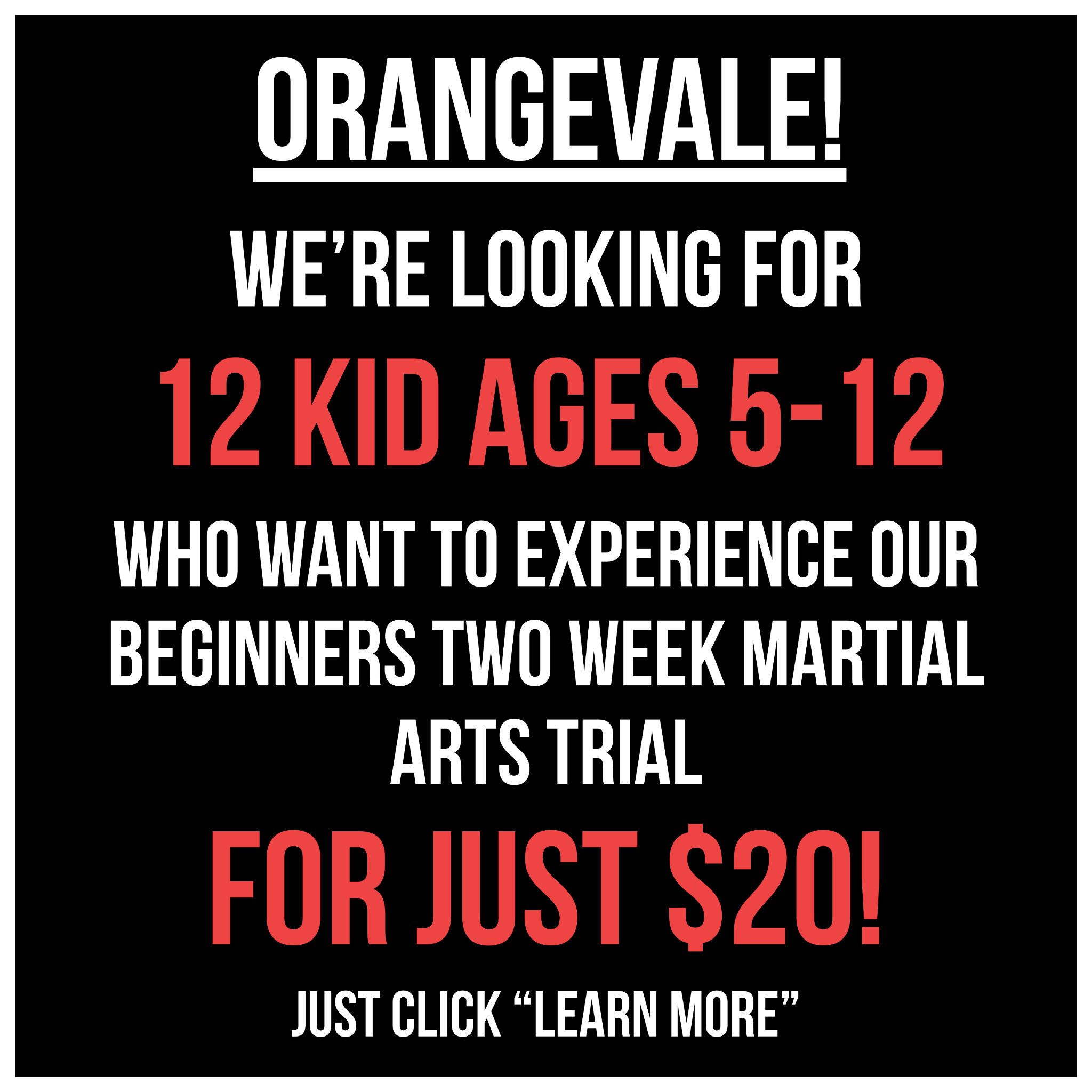 Orangevale Academy - Family Taekwondo Facebook ad