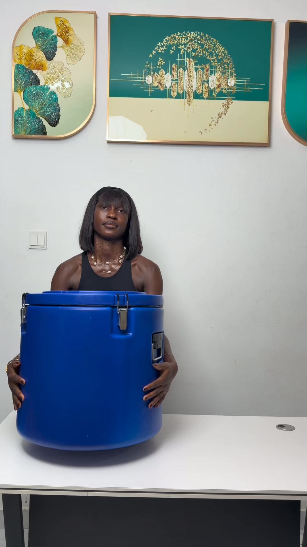 GM Homes Luxury Facebook ad: Premium Insulated Cooler For Events, Parties and Catering…