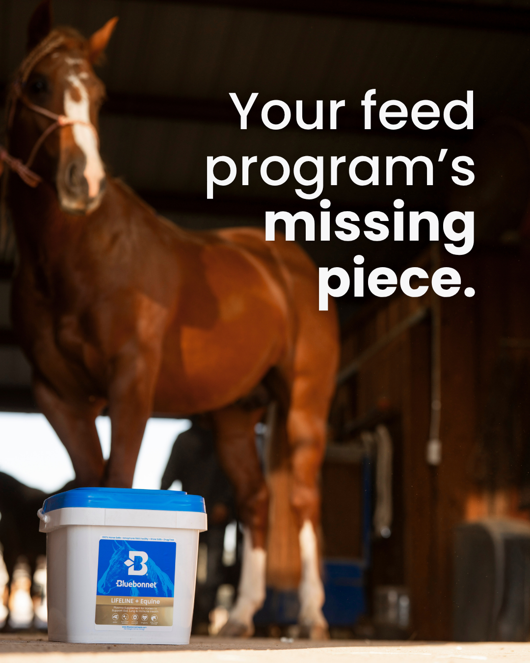 Bluebonnet Facebook ad