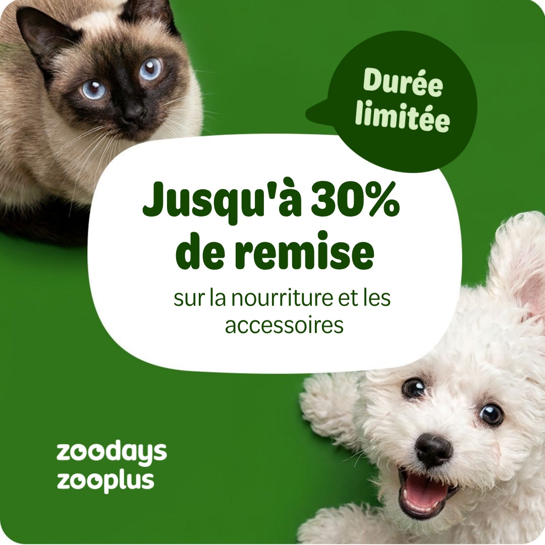 zooplus Facebook ad