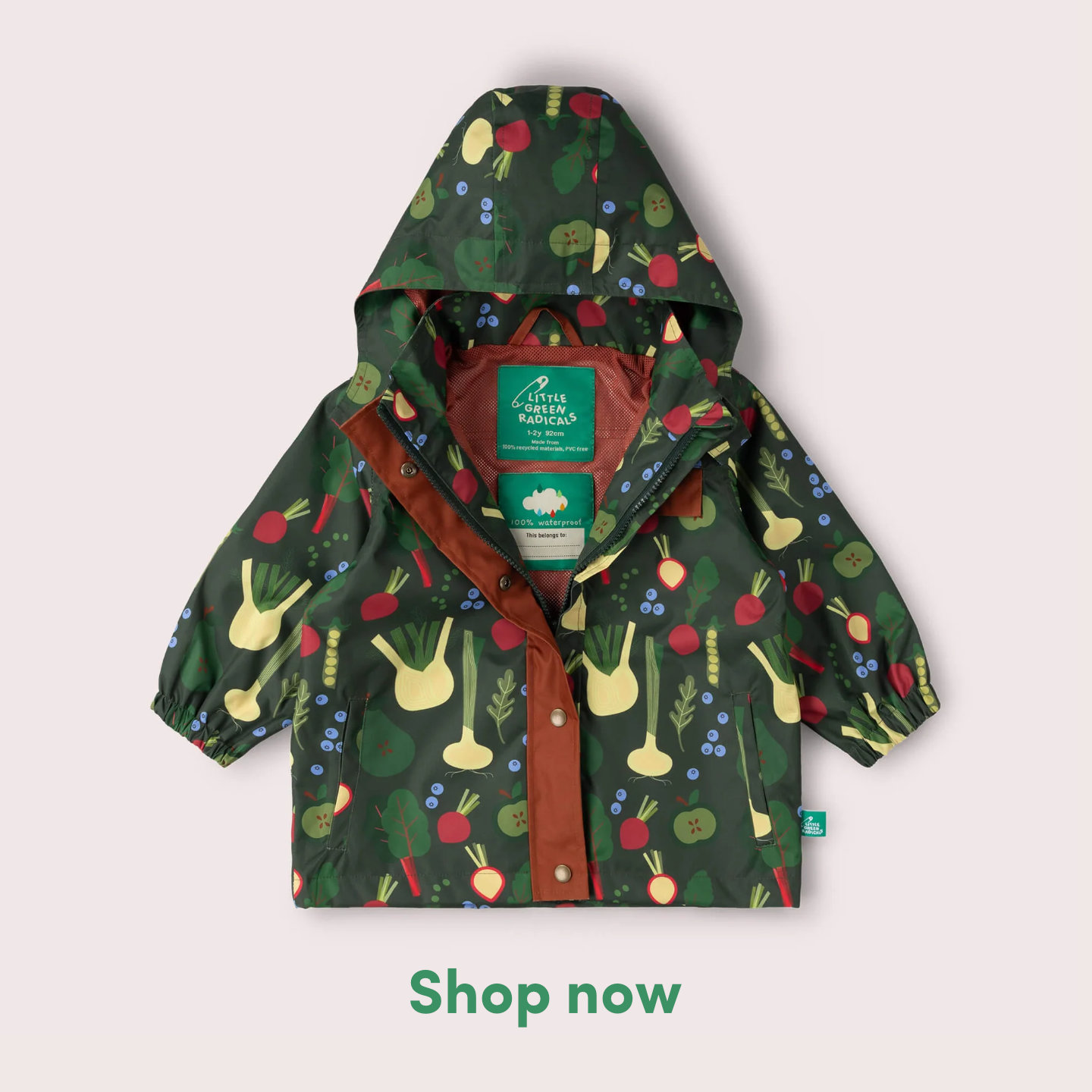 Little Green Radicals Facebook ad: New Term - New Adventures