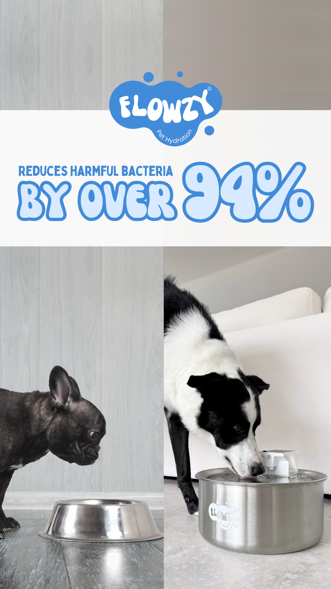 Dog Health Australia Facebook ad
