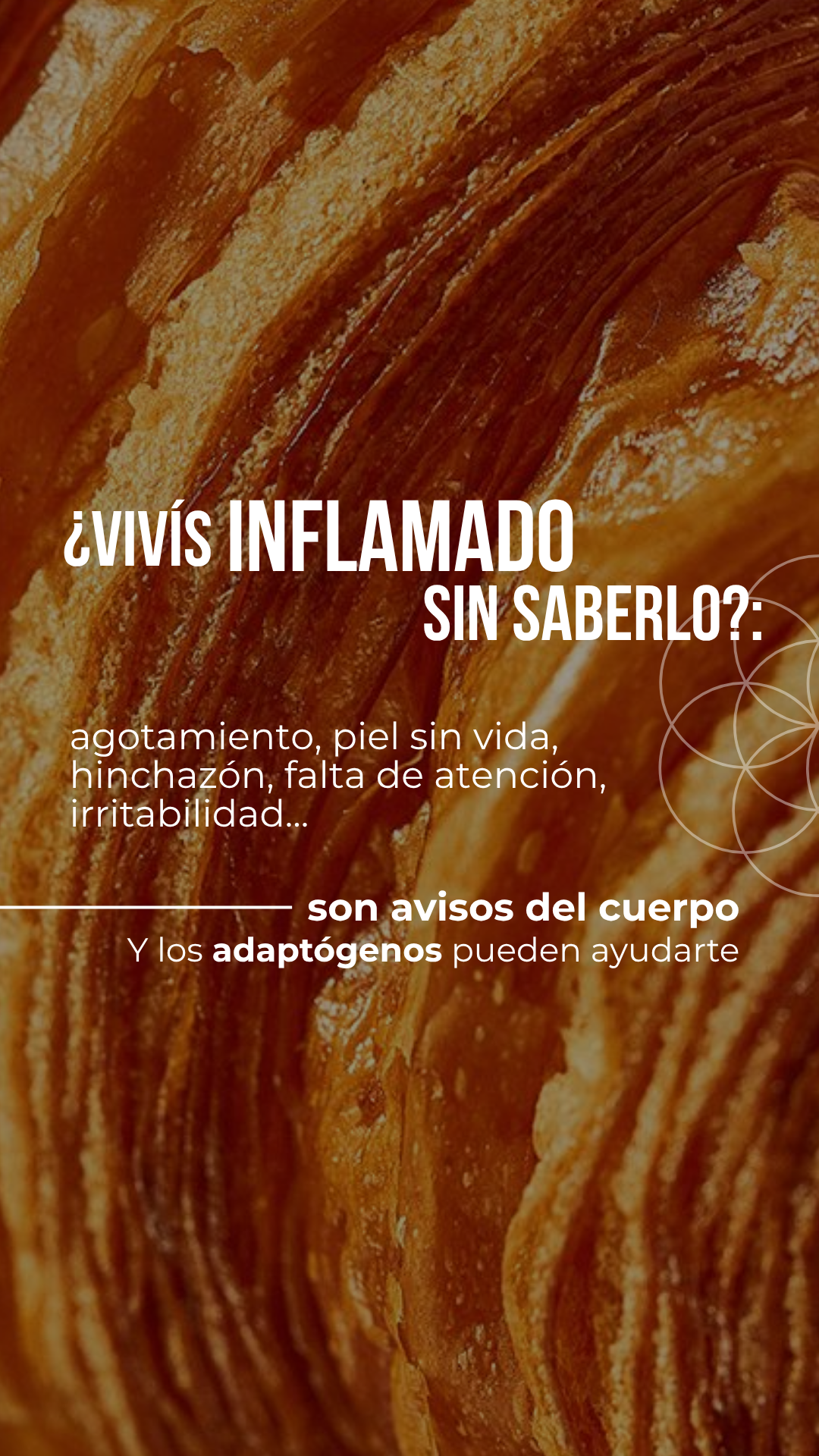 InterSer Facebook ad