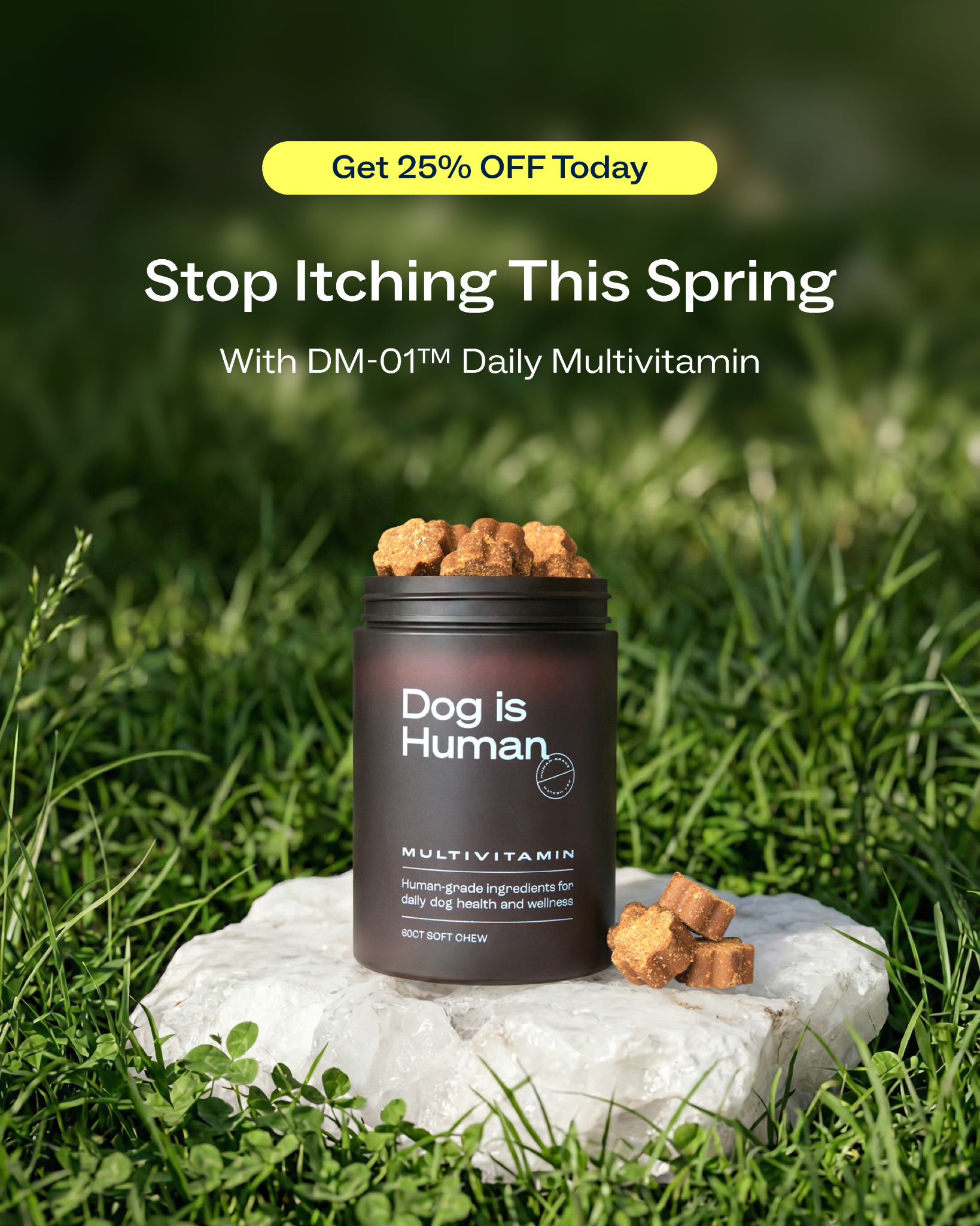 Dog is Human Facebook ad