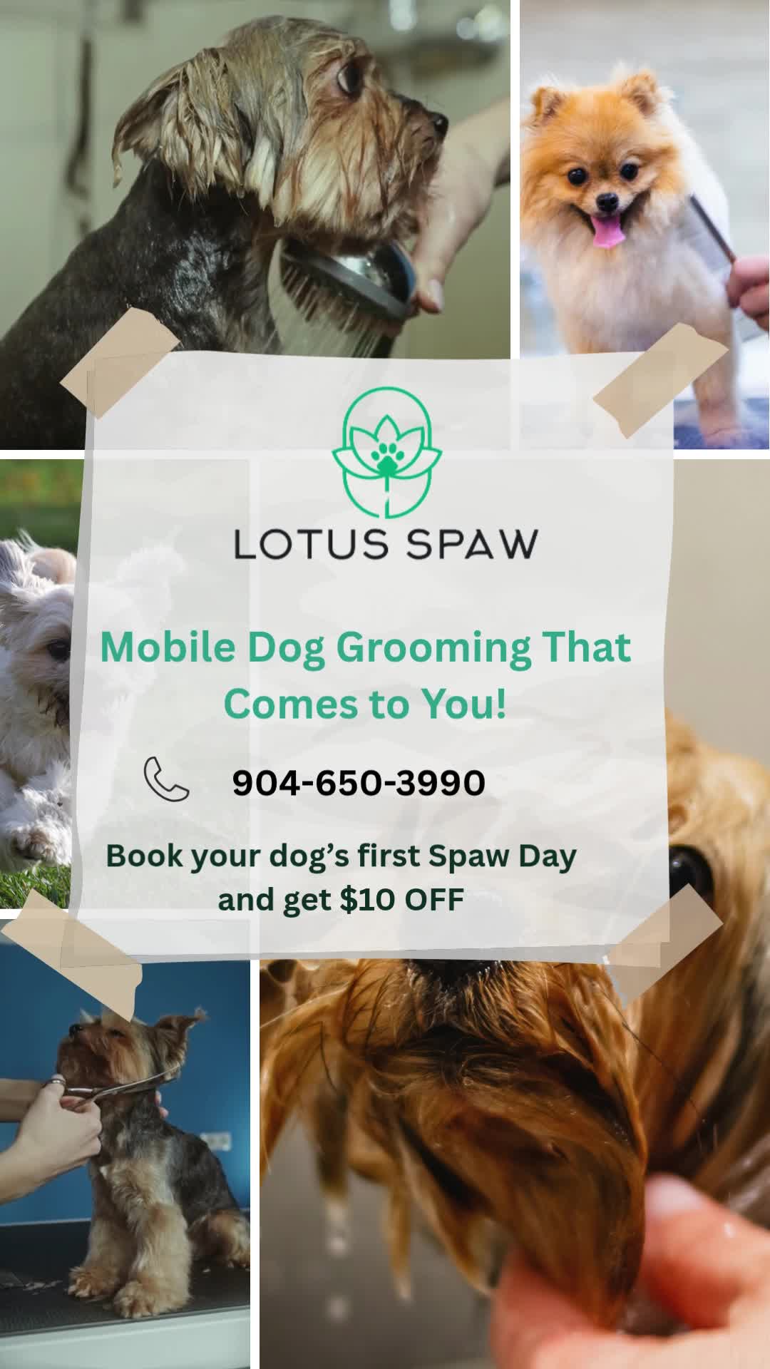 Lotus Spaw Grooming Facebook ad: Mobile Dog Grooming at Your Door