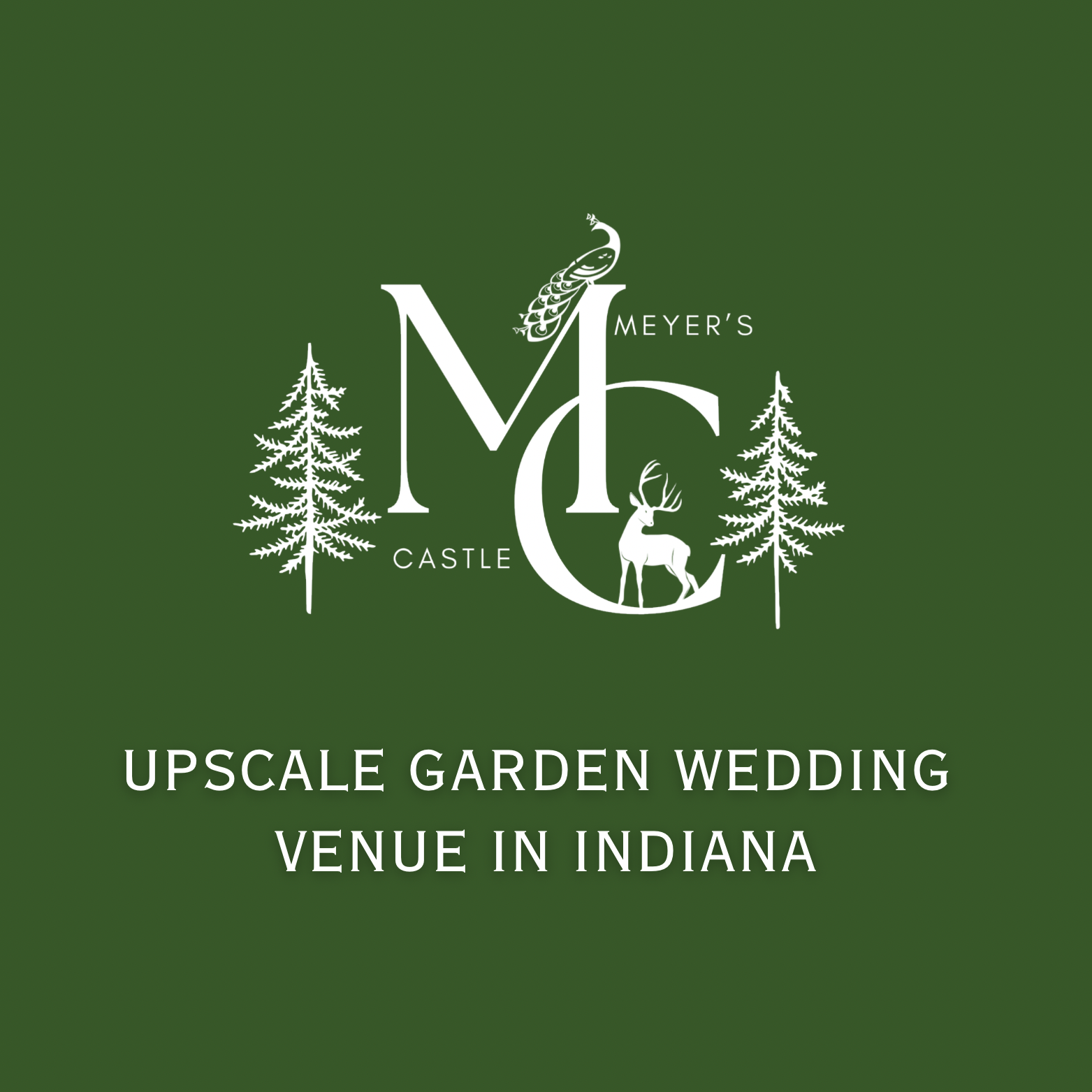 Meyer's Castle Events Facebook ad from Dec 7, 2025
