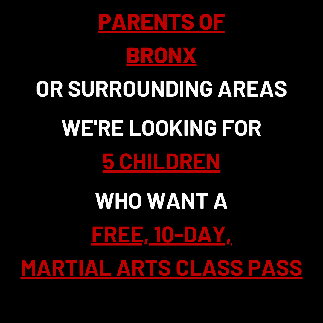 United BlackBelt Martial Arts Facebook ad: Want a FREE 10-Day, Kids Martial Arts Class Pass?