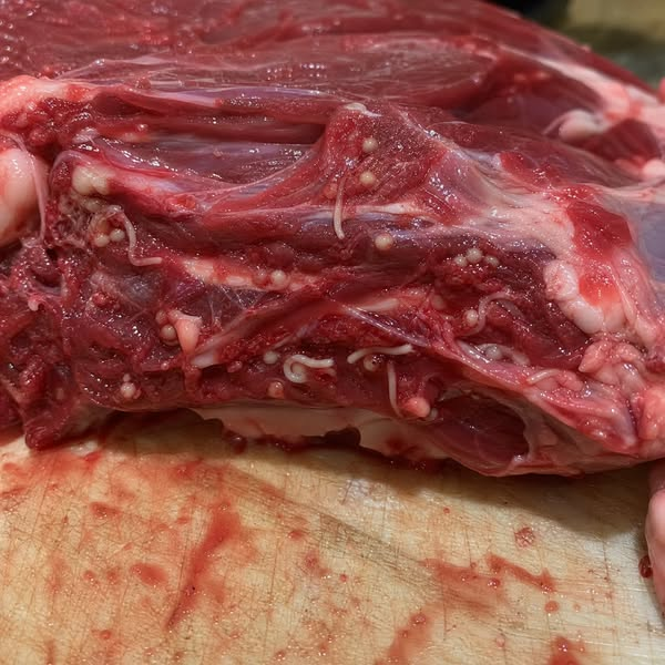 Sophie Fischer Facebook ad: Rohes Fleisch, eine Rechnung wurde fällig