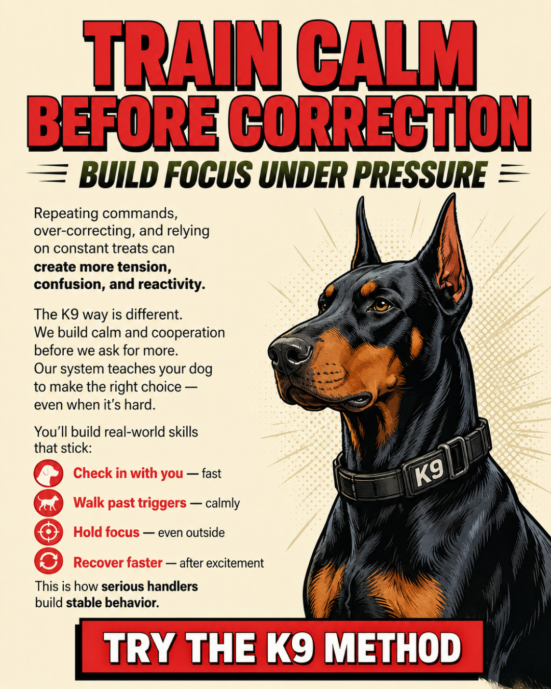 1st Dog Training Club Facebook ad