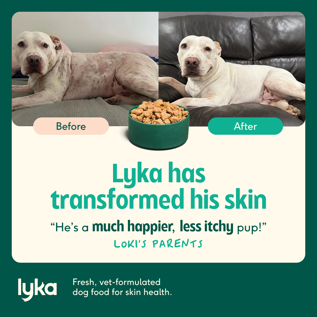 Lyka Pet Food Facebook ad