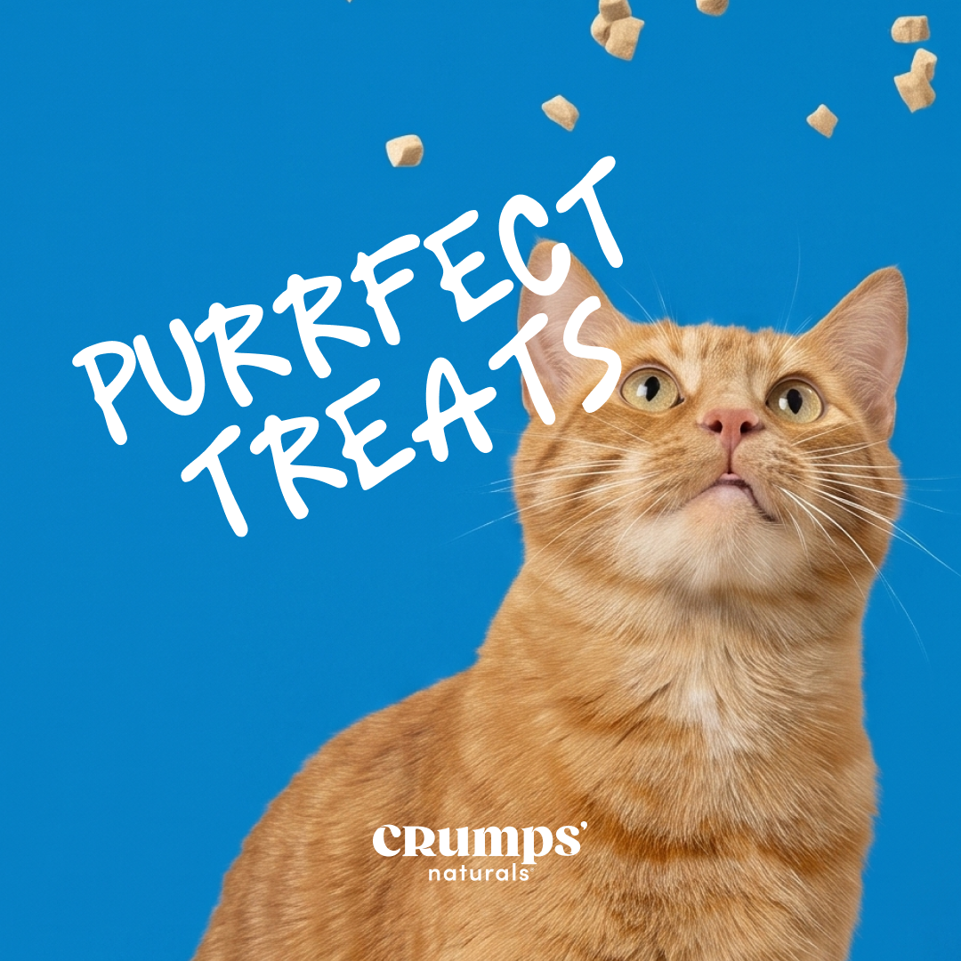Crumps' Naturals Facebook ad: This was the whole point., The Cats