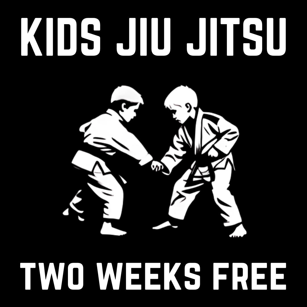 Rosemount Martial Arts Academy Facebook ad: Kids Jiu Jitsu Special, 2 Weeks FREE