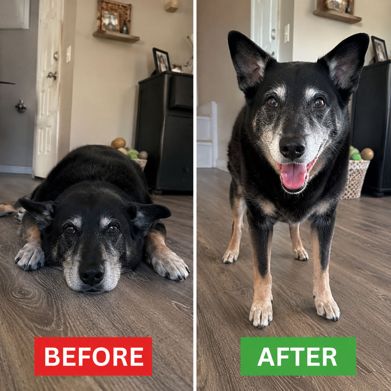 Vet-Approved Pet Products Facebook ad