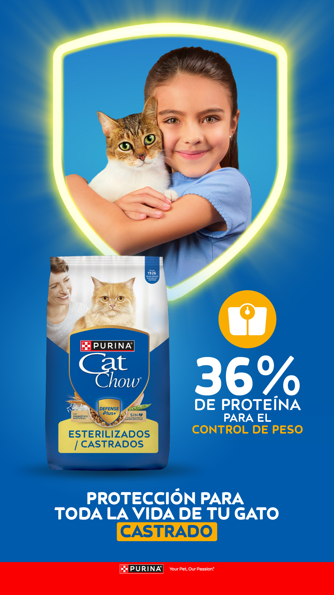 Purina Cat Chow Facebook ad
