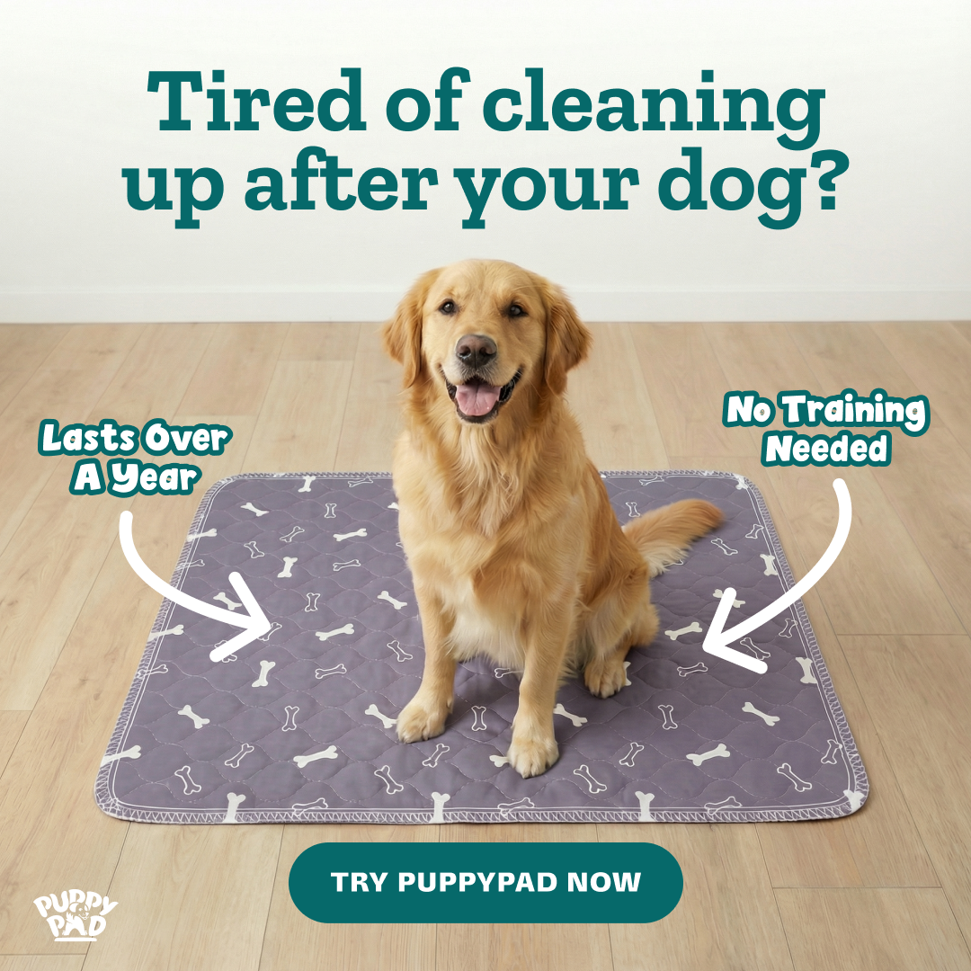 PuppyPad Facebook ad
