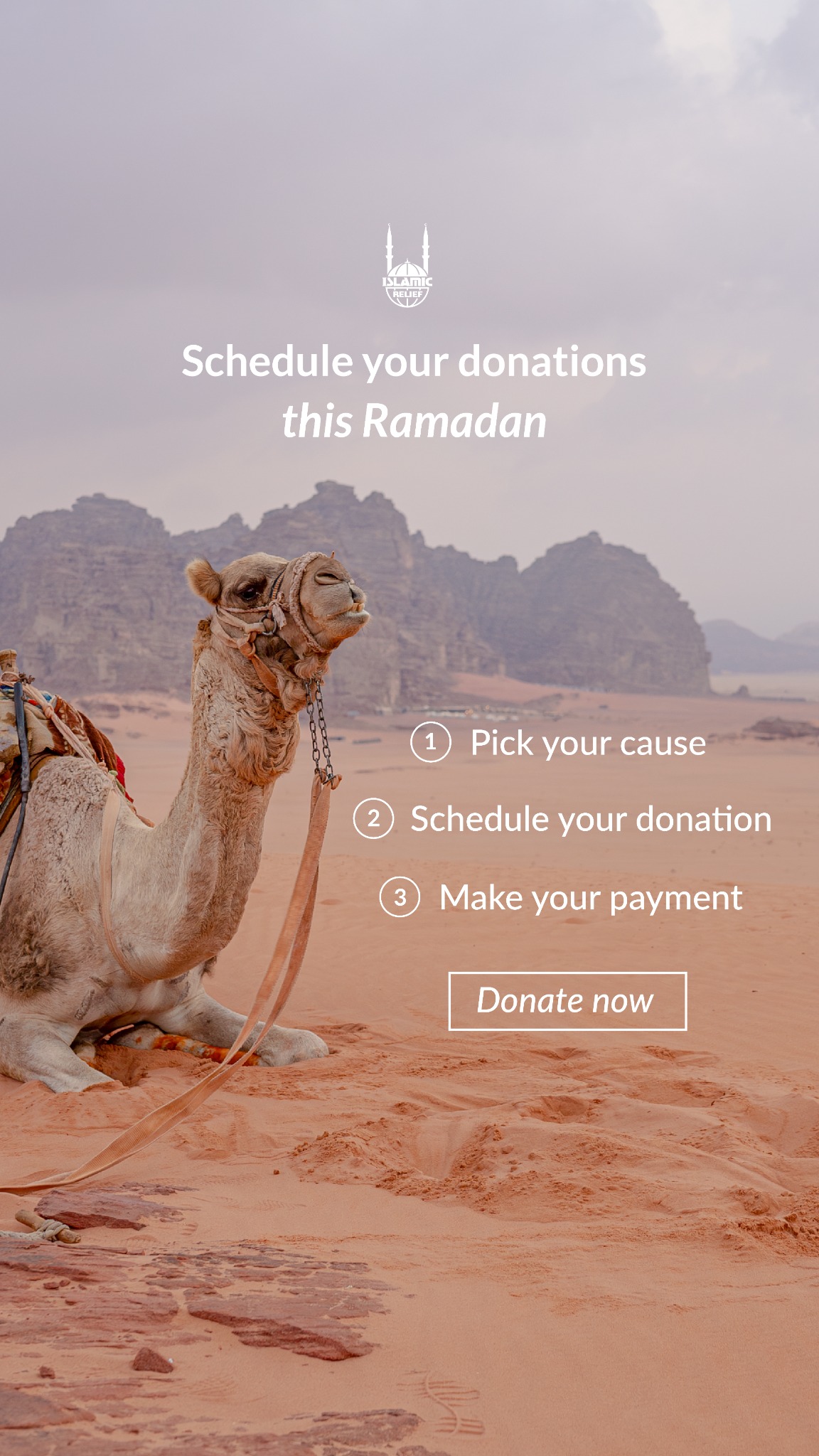Islamic Relief UK Facebook ad