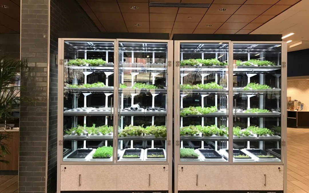 John Moody Facebook ad: Commercial Grade Hydroponic Grow Cabinet