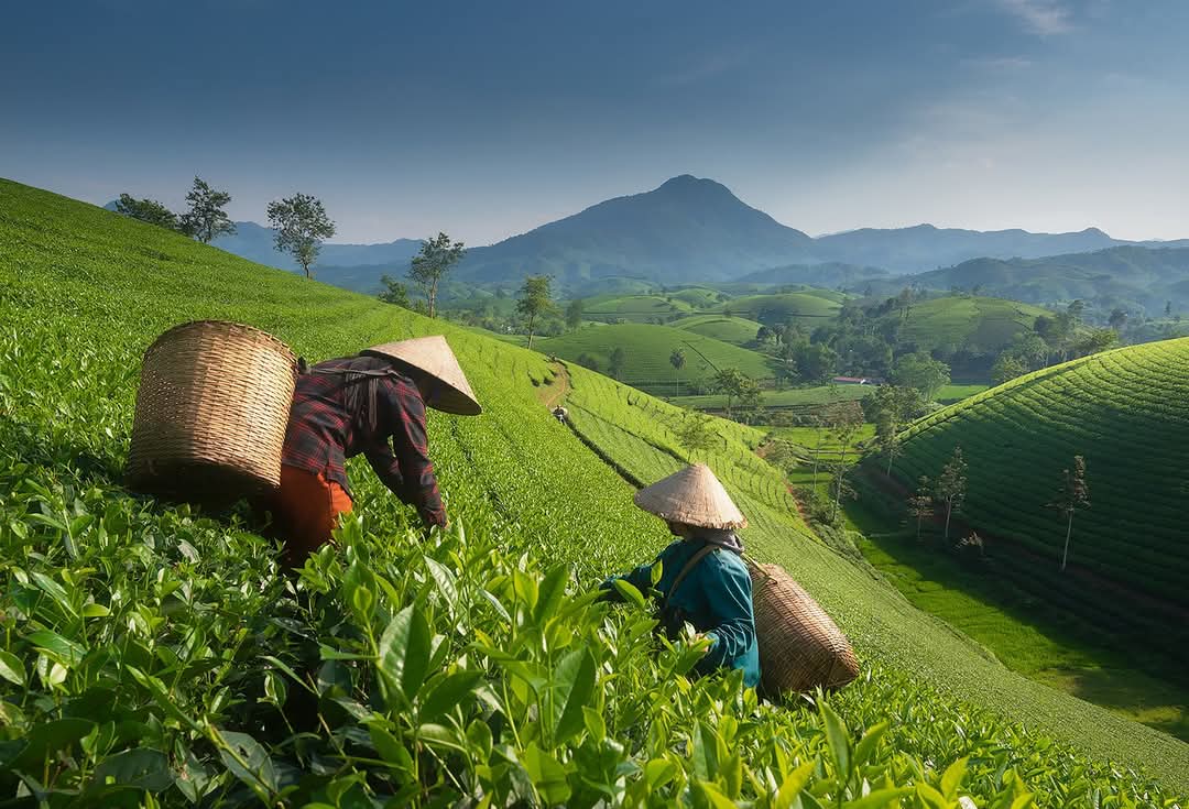InnViaggi Asia - Tour Operator & DMC in Thailandia & Asia Facebook ad: InnViaggi Asia Tour Operator