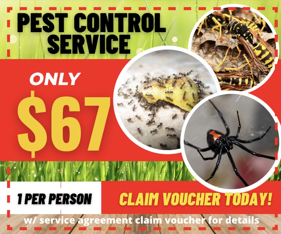 Southwest Pest & Mosquito Facebook ad