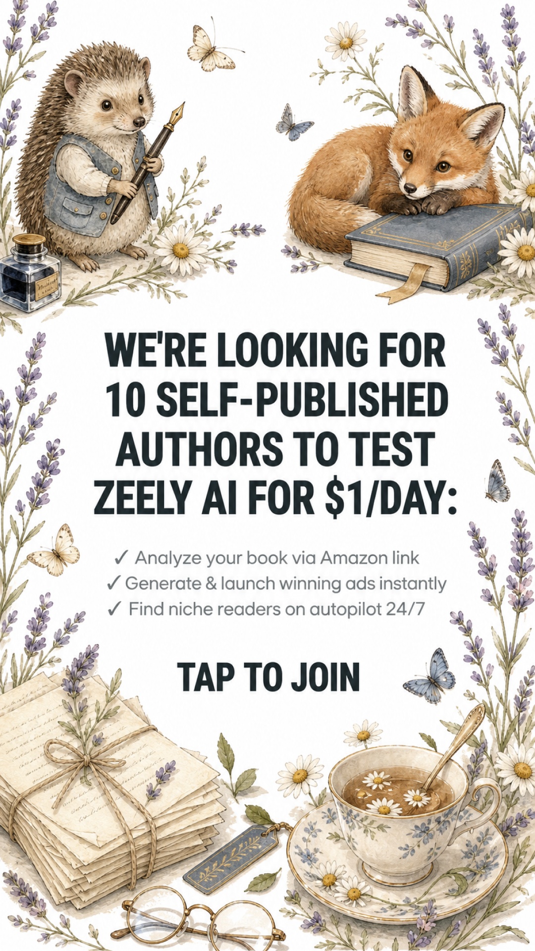Zeely Facebook ad