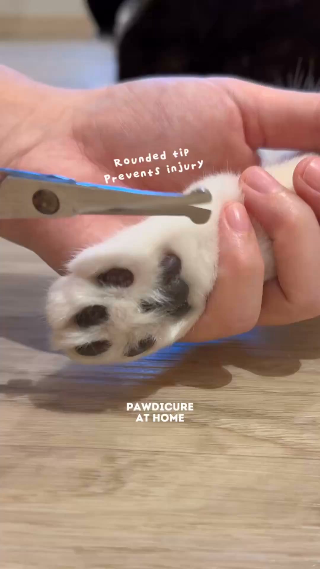 Shopee Facebook ad: Queen Oreo’s monthly pawdicure at home