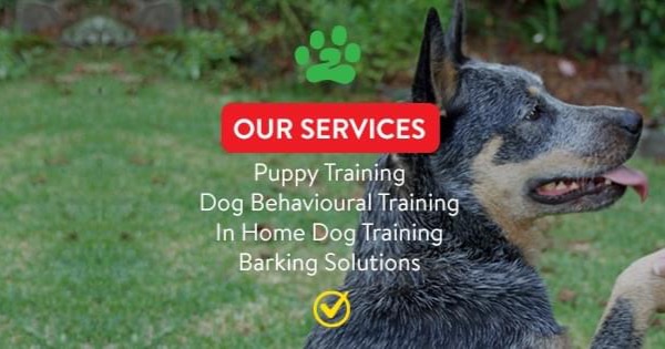 Bark Busters Townsville Facebook ad: Bark Busters In Home Dog Training in Townsville…