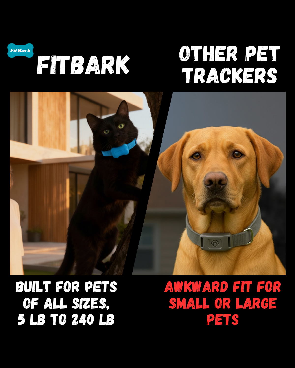 FitBark Facebook ad