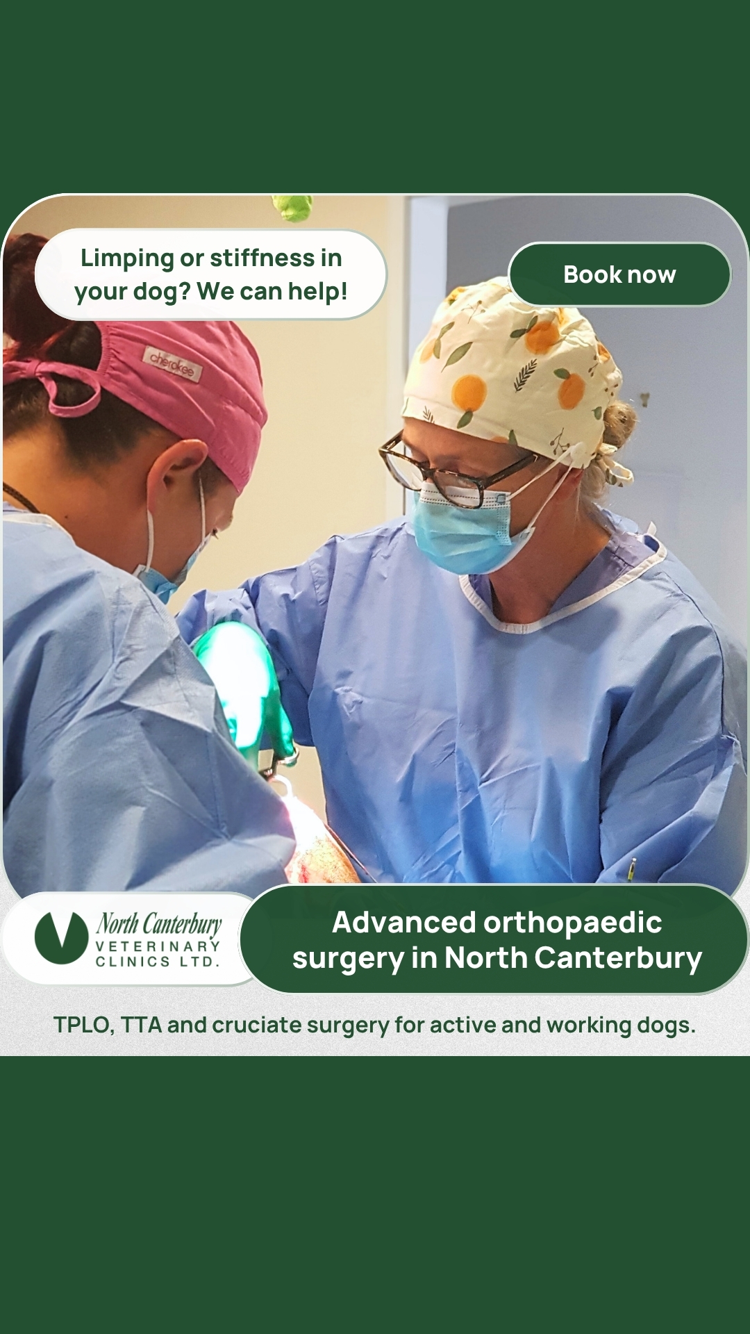 North Canterbury Vet Clinics Facebook ad