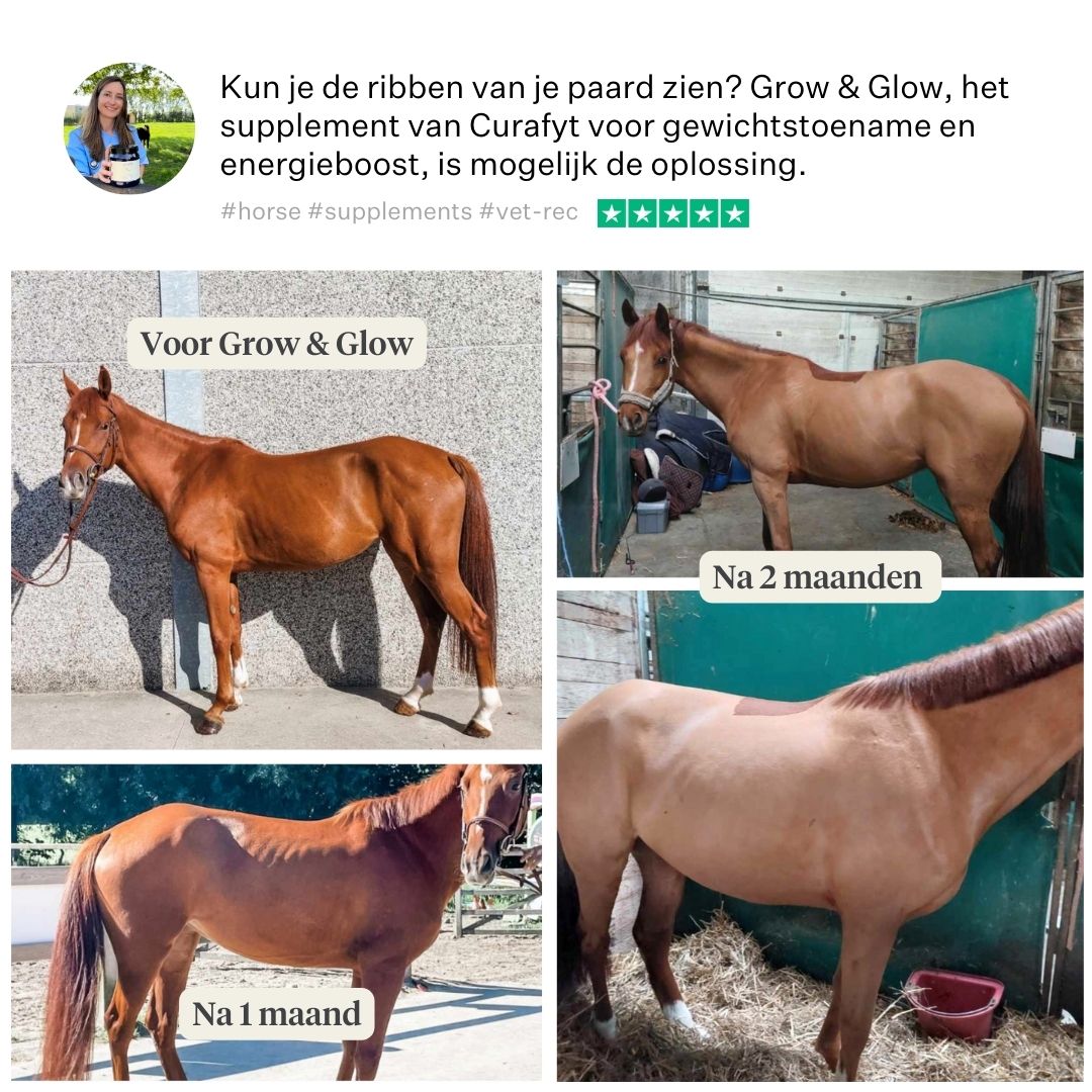 Curafyt Facebook ad: Een mager paard? Probeer dit eens.