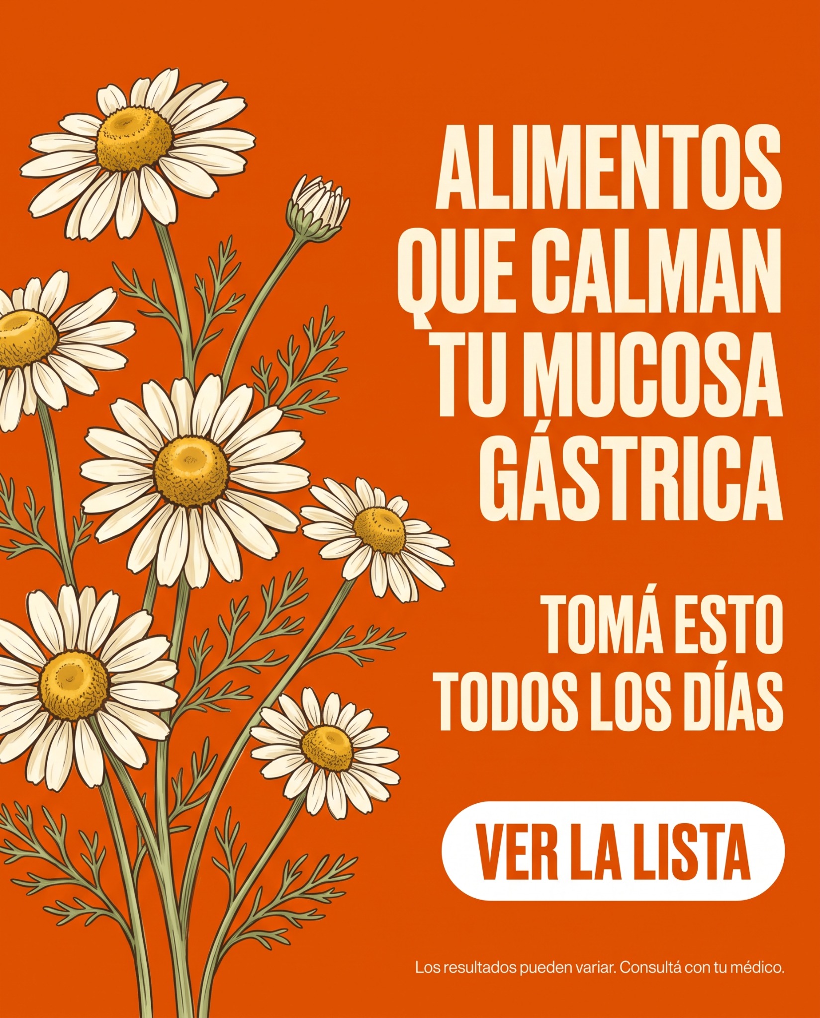 Cocina Activa Facebook ad