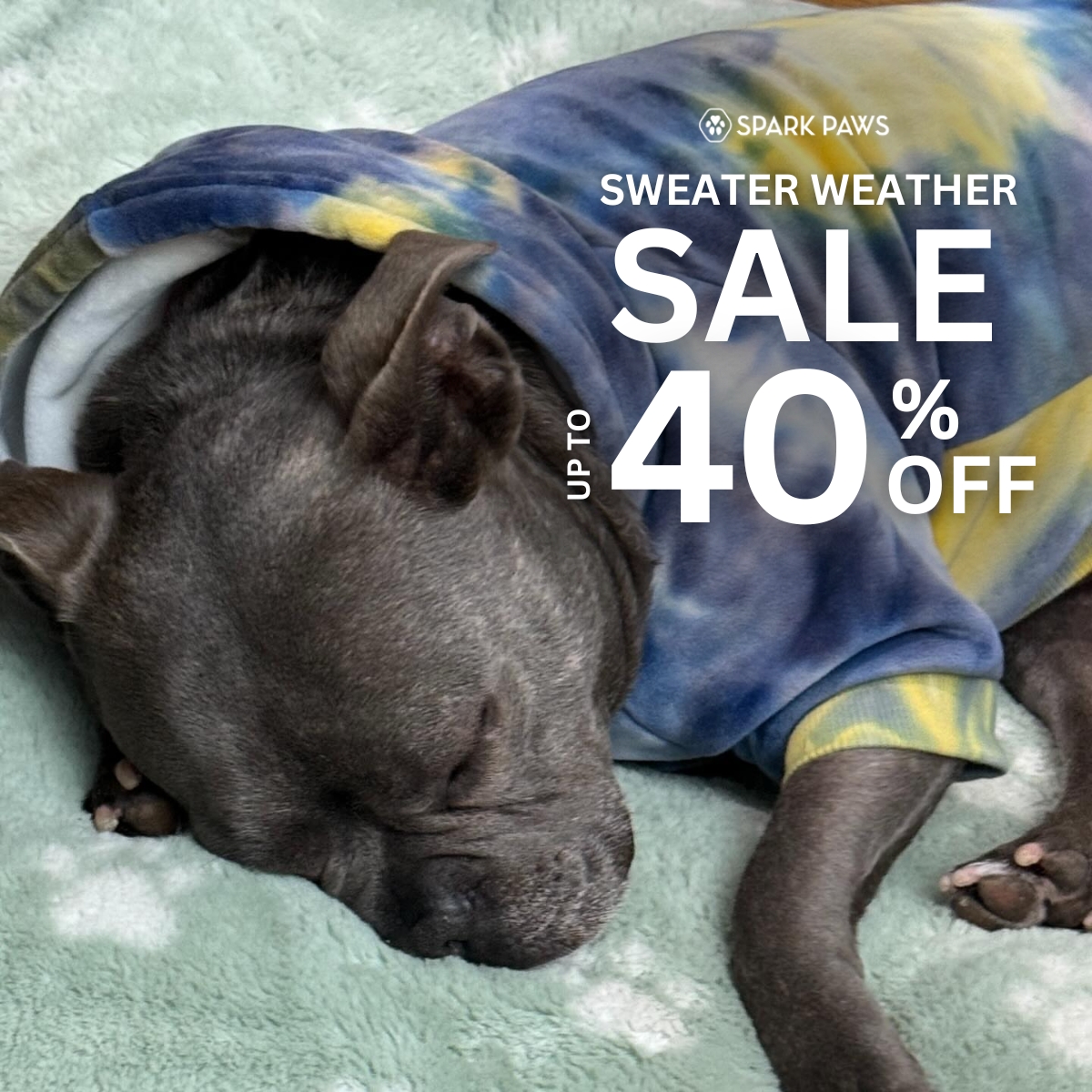 Spark Paws Facebook ad
