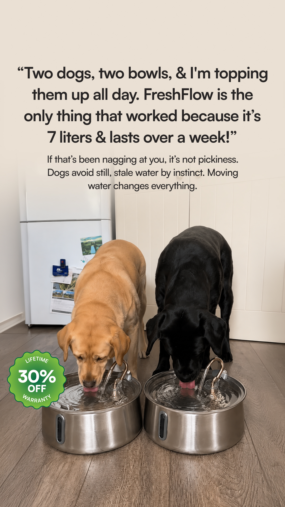 Rhykin Pet Co Facebook ad