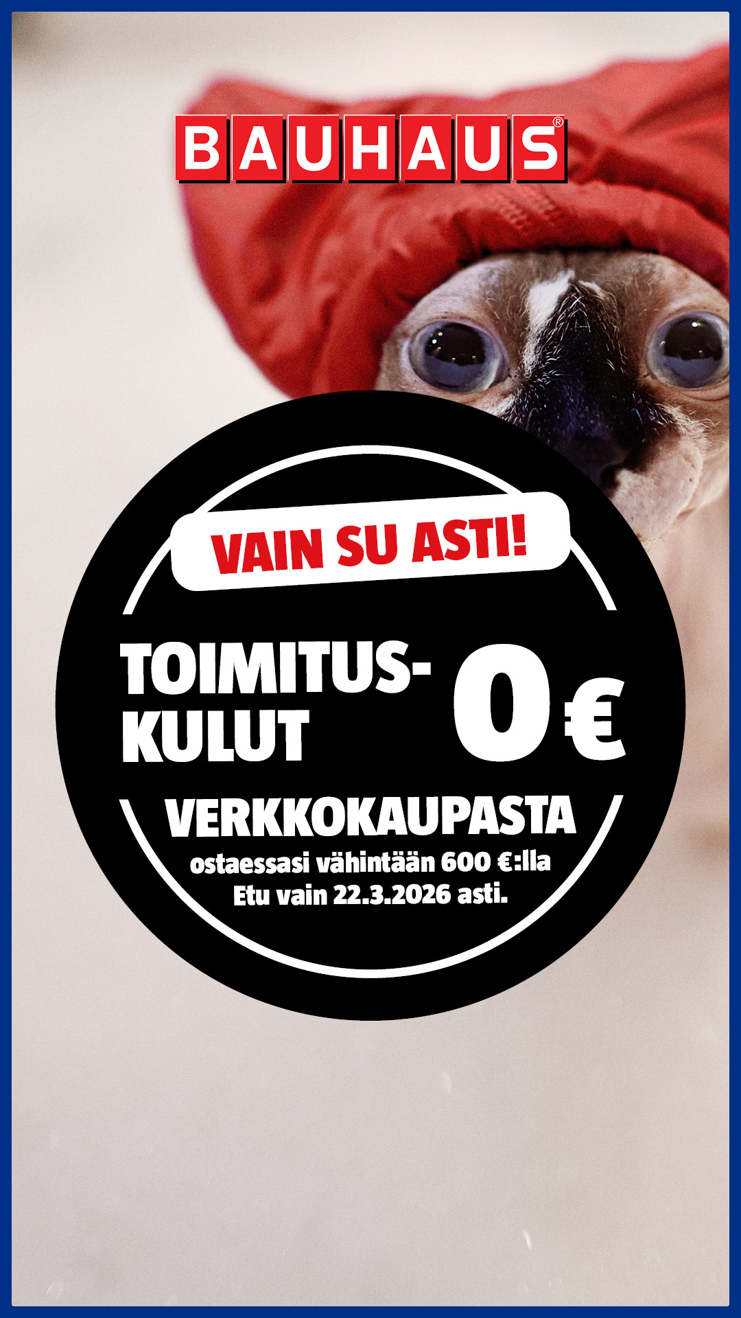 BAUHAUS Suomi Facebook ad