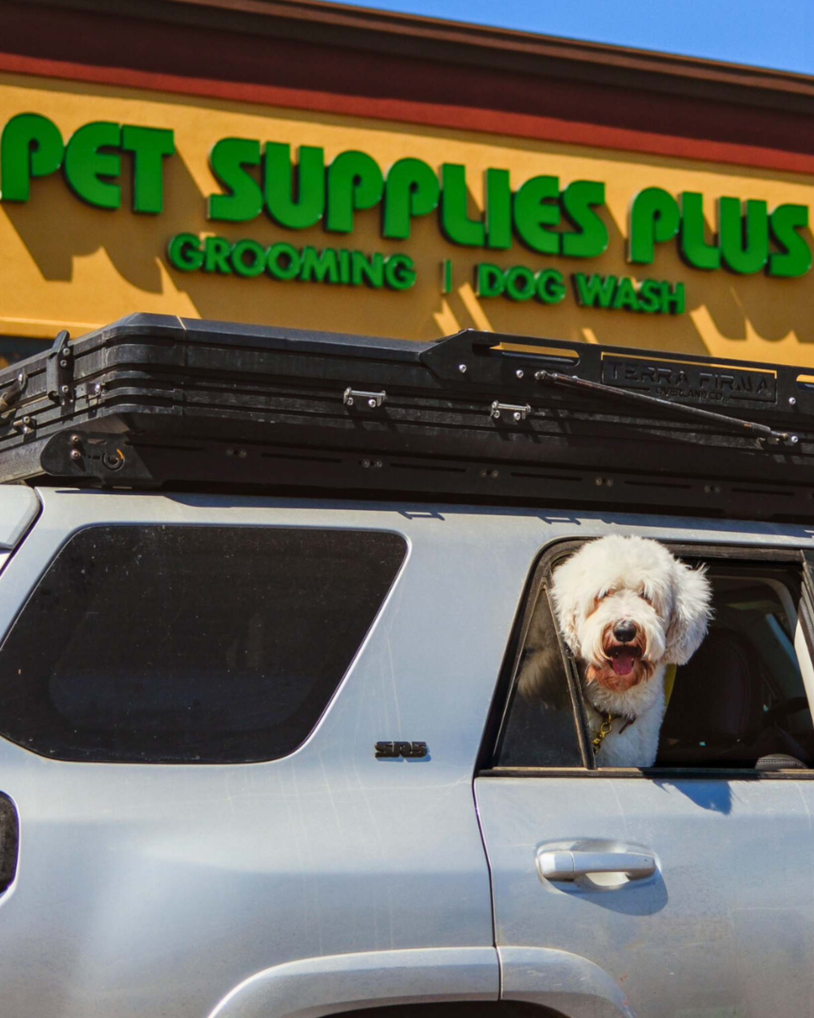 Pet Supplies Plus Facebook ad: Grab It All Here