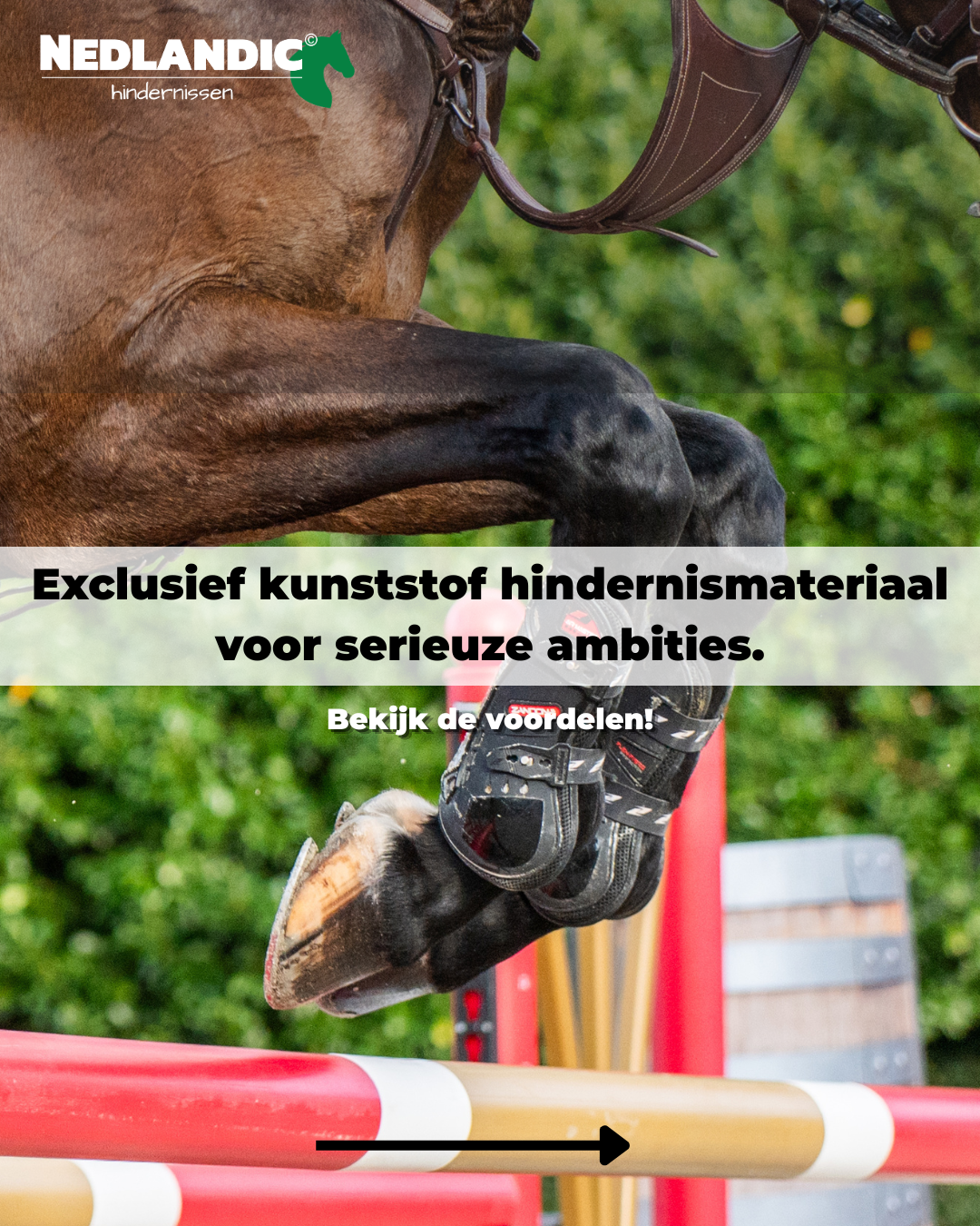 Nedlandic Quality Horse Supplies Facebook ad