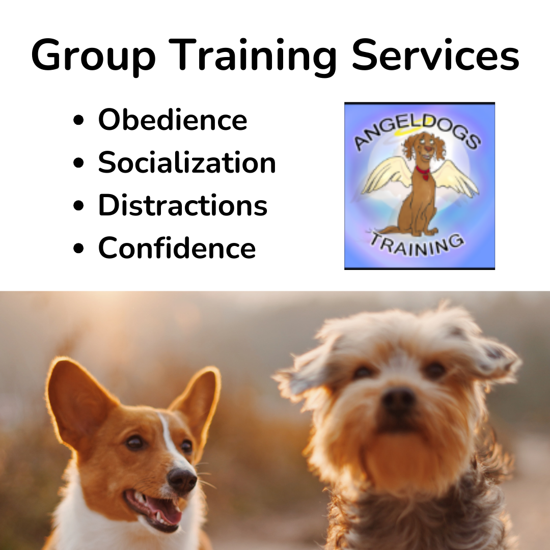 Santa Clarita Dog Training AngelDogs Facebook ad