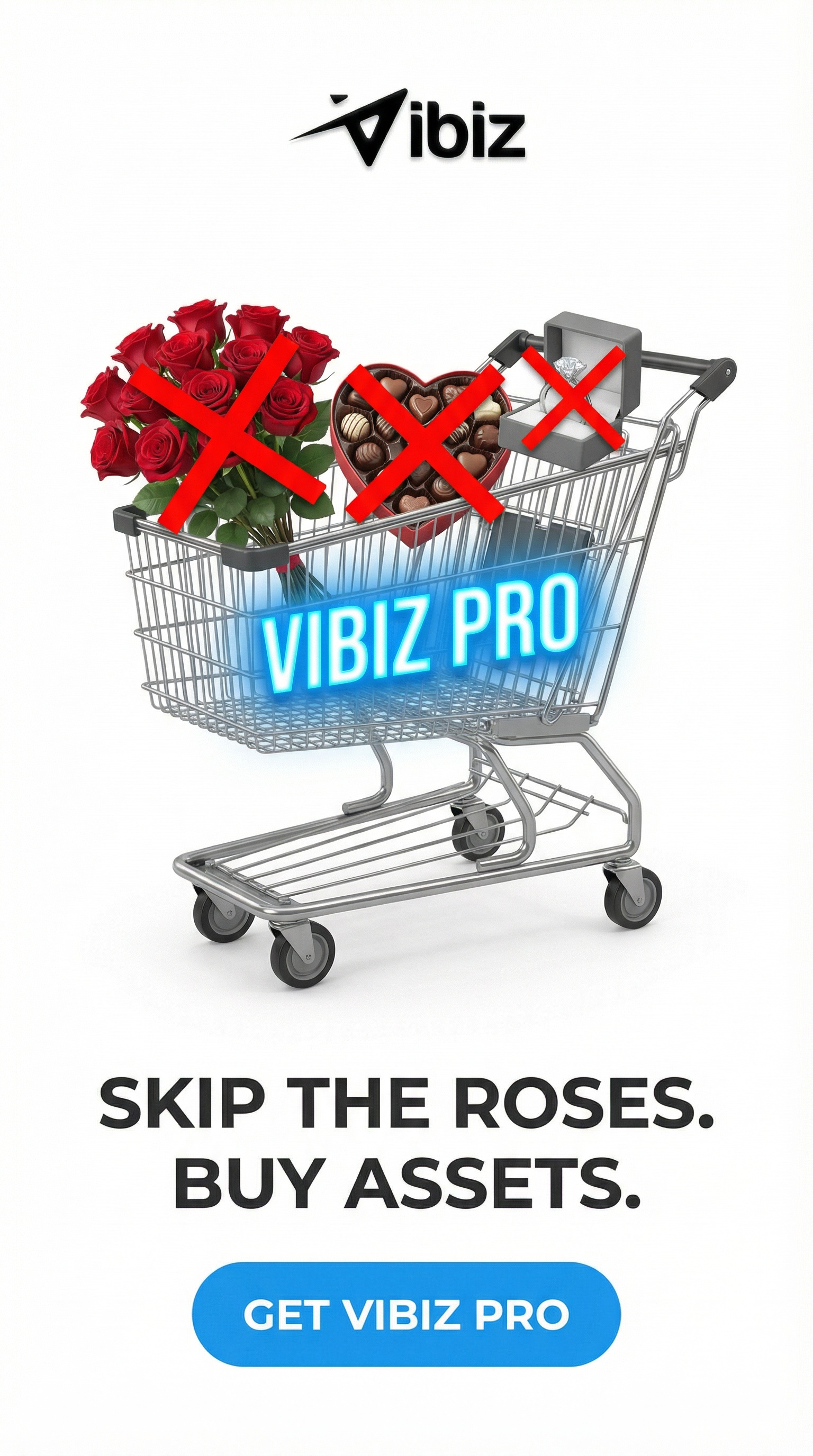 Vibiz Facebook ad