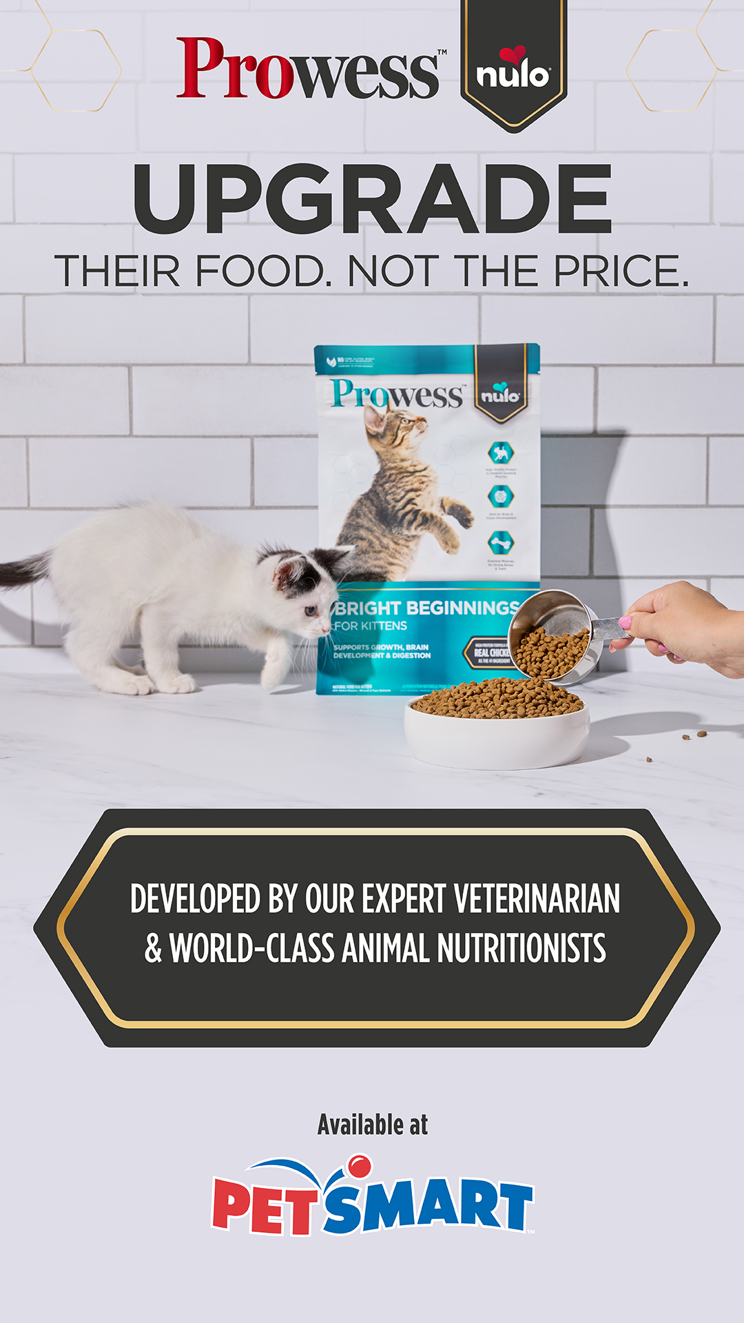 PetSmart Facebook ad