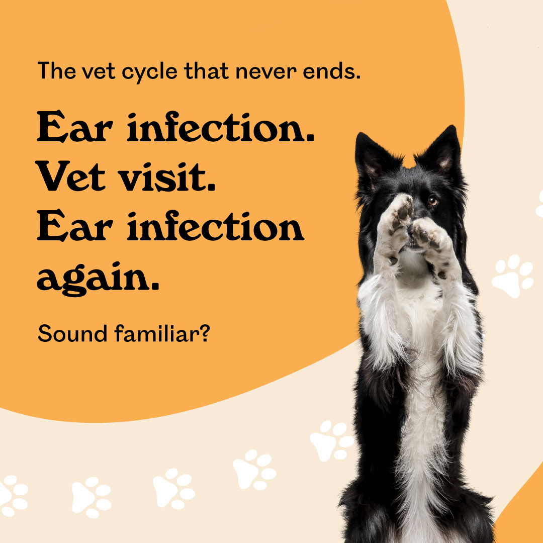 Eureka Pet Co Facebook ad
