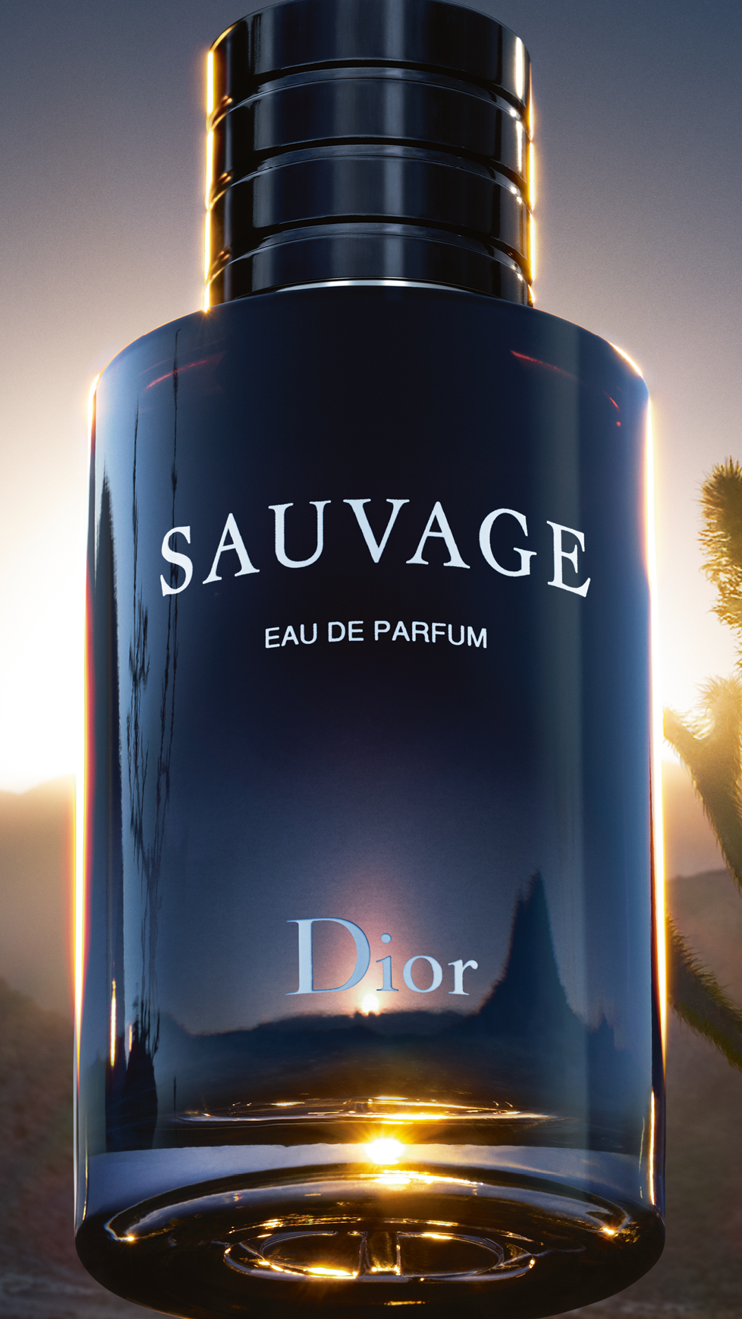 Dior Facebook ad