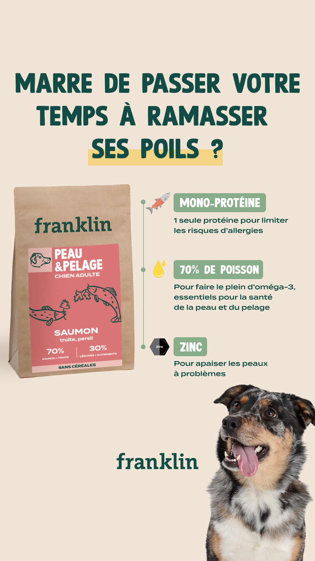 Franklin Pet Food Facebook ad