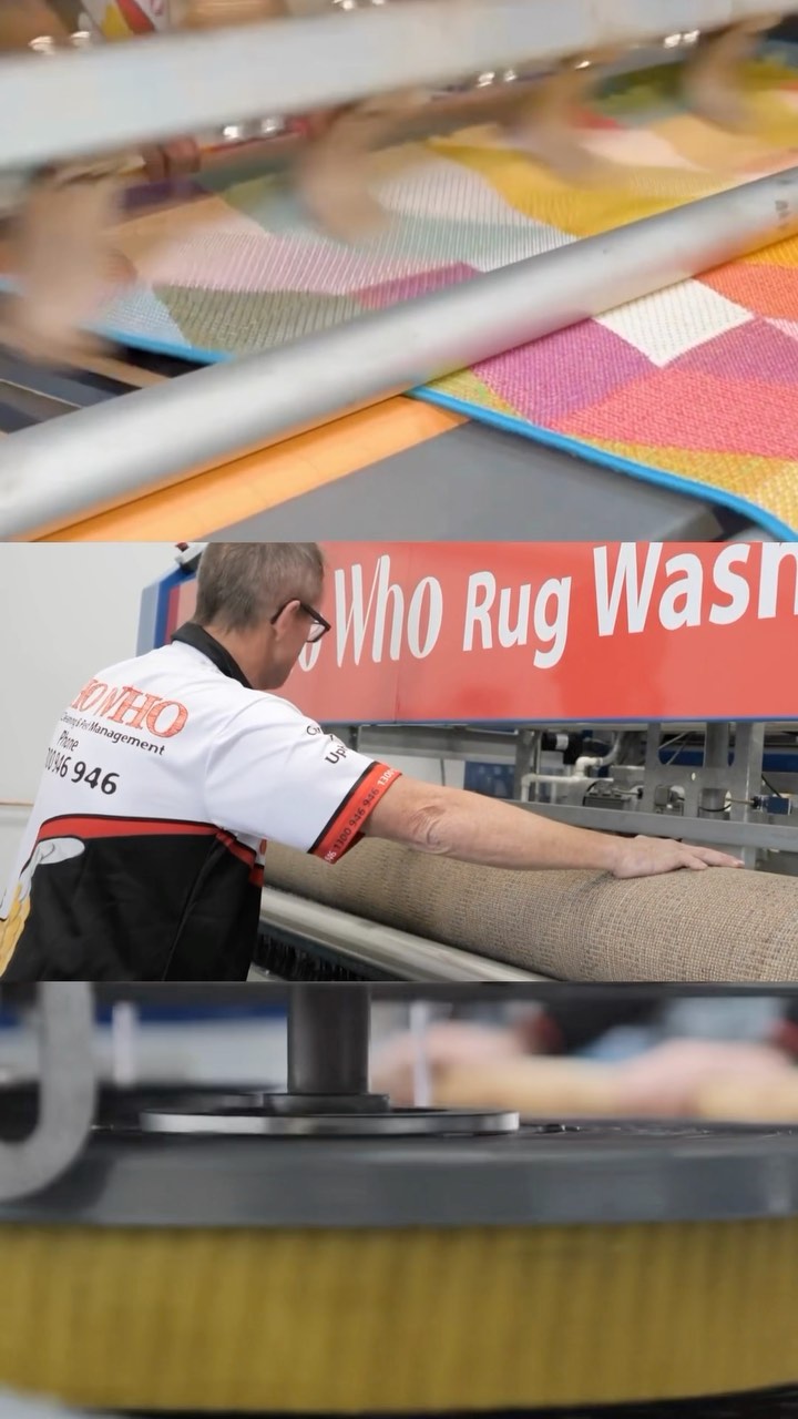 Who Who Carpet Cleaning & Pest Management Facebook ad