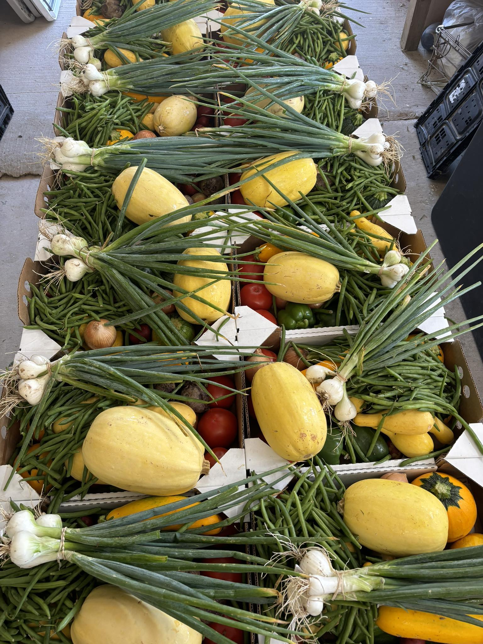The Farmer’s Darlin Facebook ad: Dont miss out on this weeks veggie boxes
