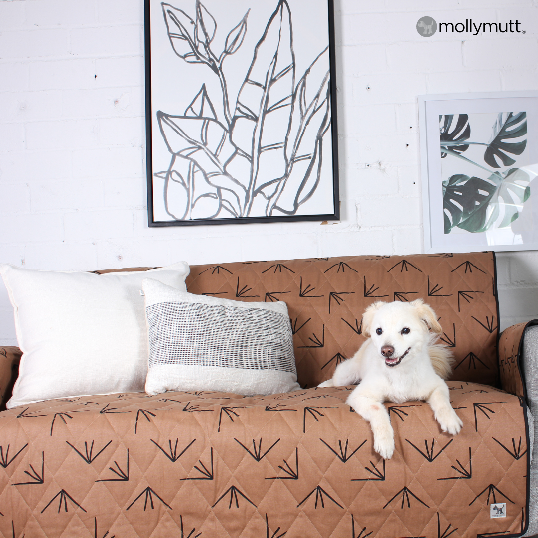 Molly Mutt Facebook ad